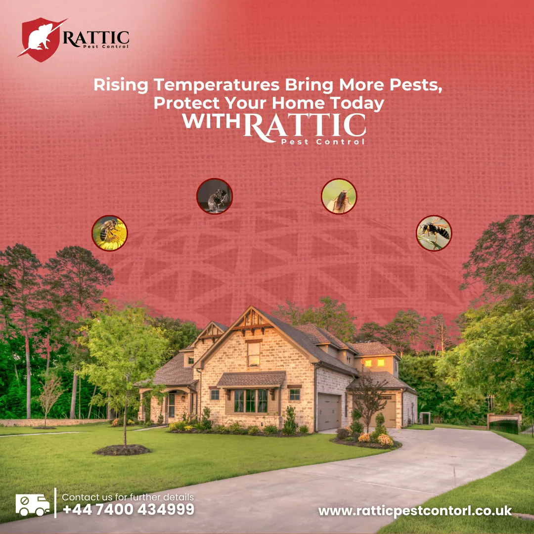 shape-with-nabeel-pest-control-graphic-images-portfolio-eight