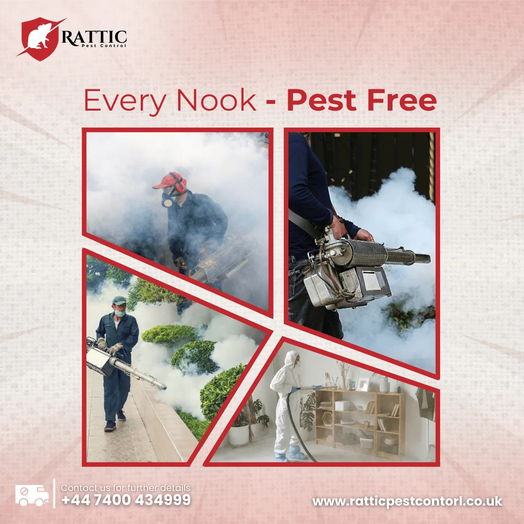 shape-with-nabeel-pest-control-graphic-images-portfolio-five