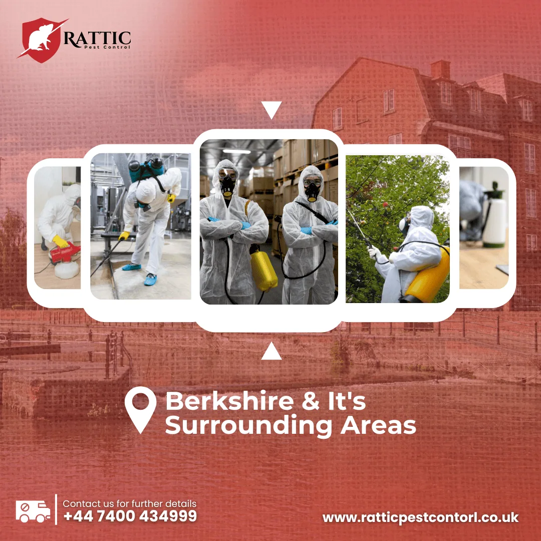 shape-with-nabeel-pest-control-graphic-images-portfolio-four