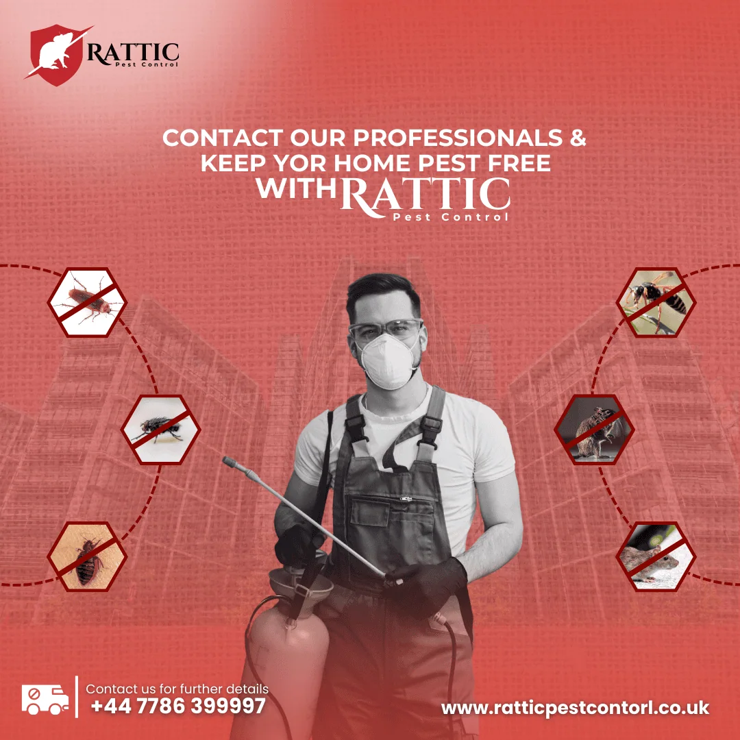 shape-with-nabeel-pest-control-graphic-images-portfolio-nine