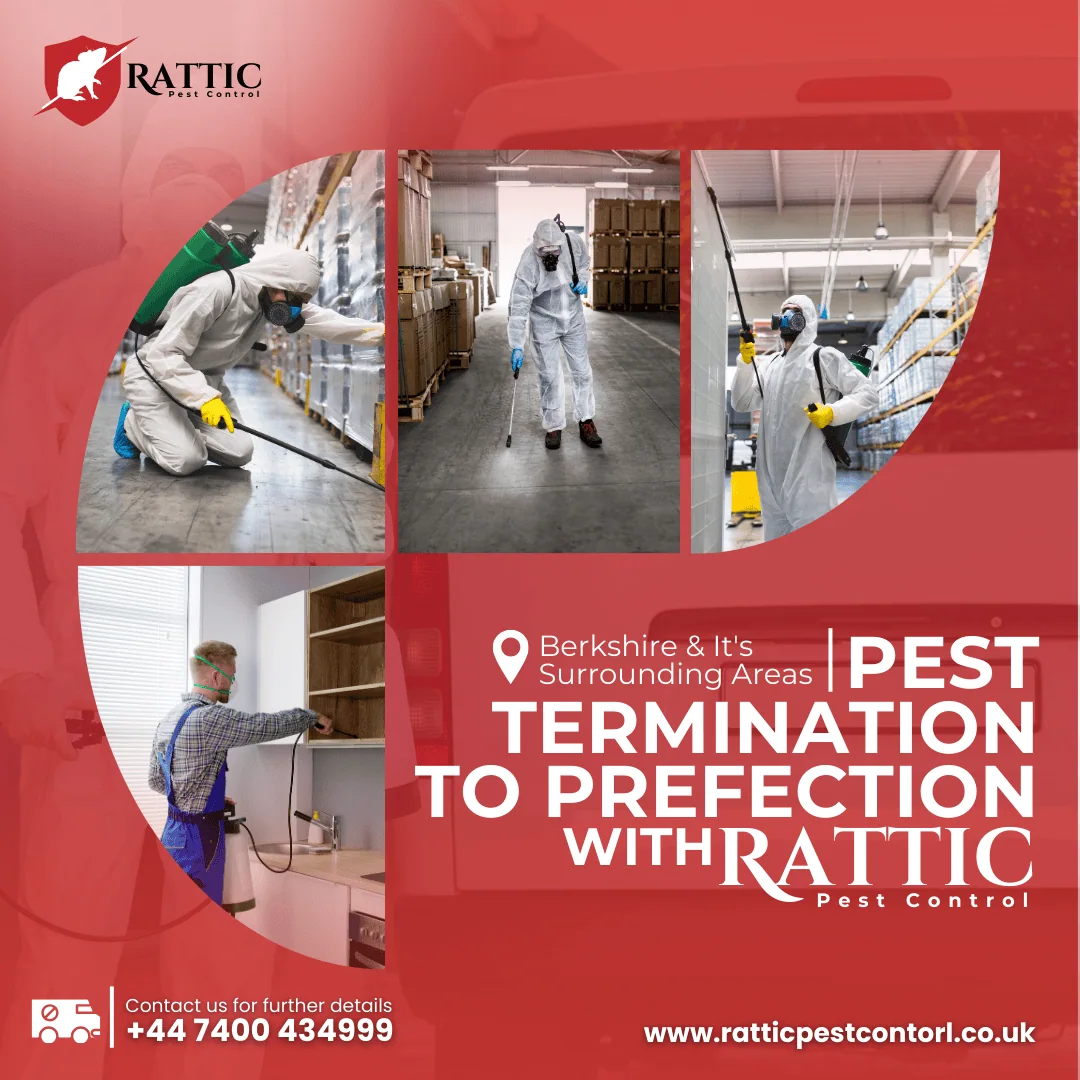 shape-with-nabeel-pest-control-graphic-images-portfolio-six