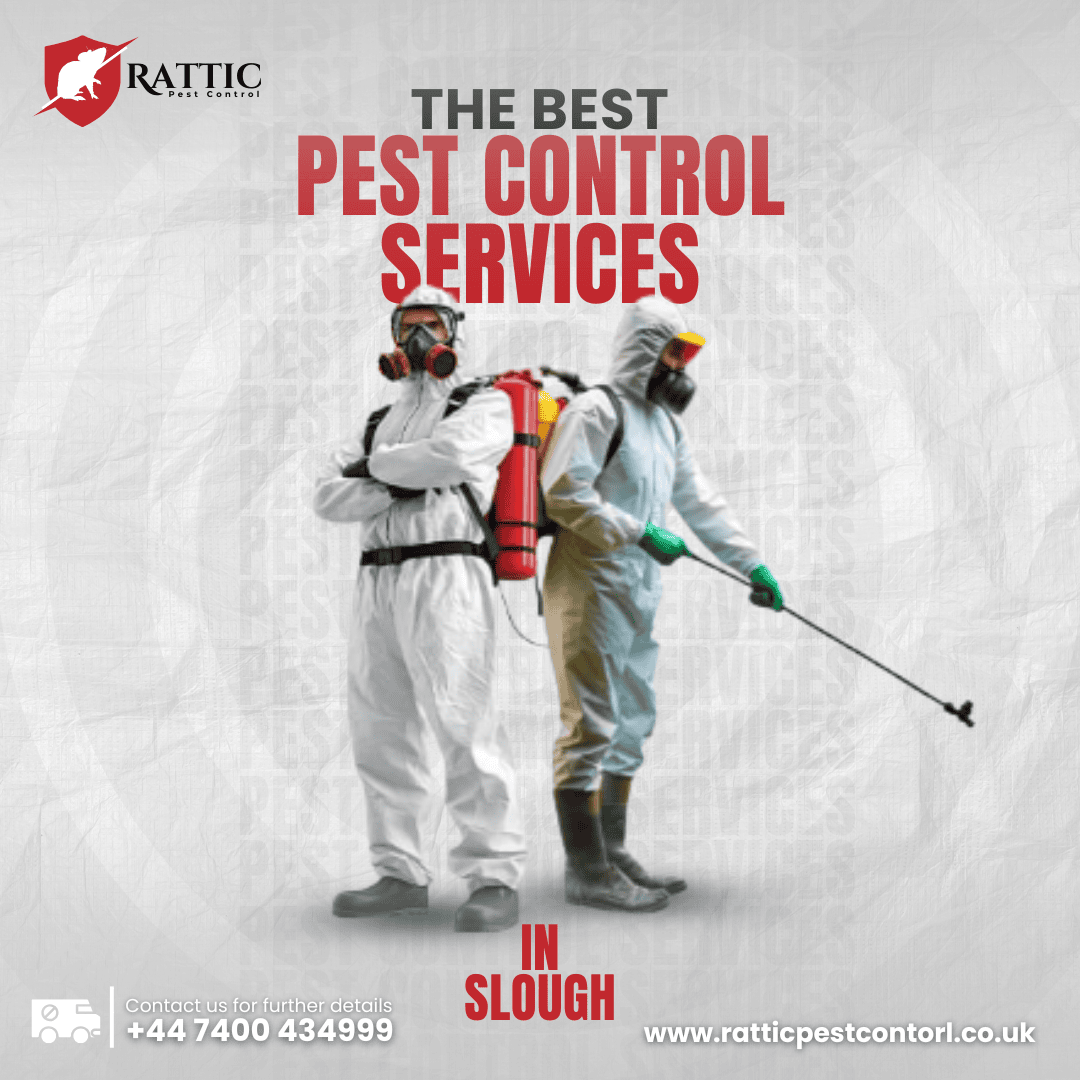 shape-with-nabeel-pest-control-graphic-images-portfolio-ten