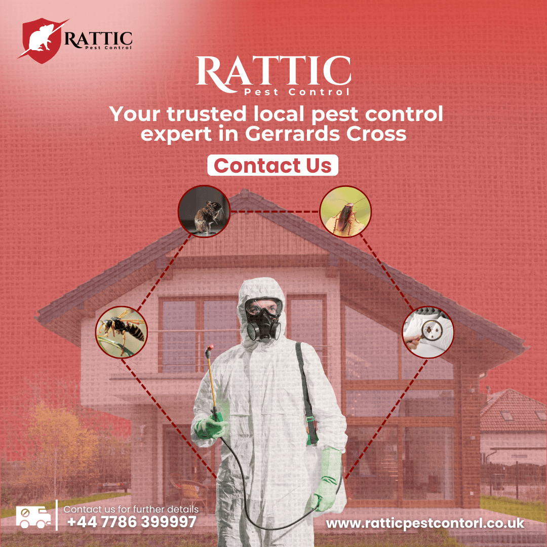 shape-with-nabeel-pest-control-graphic-images-portfolio-three