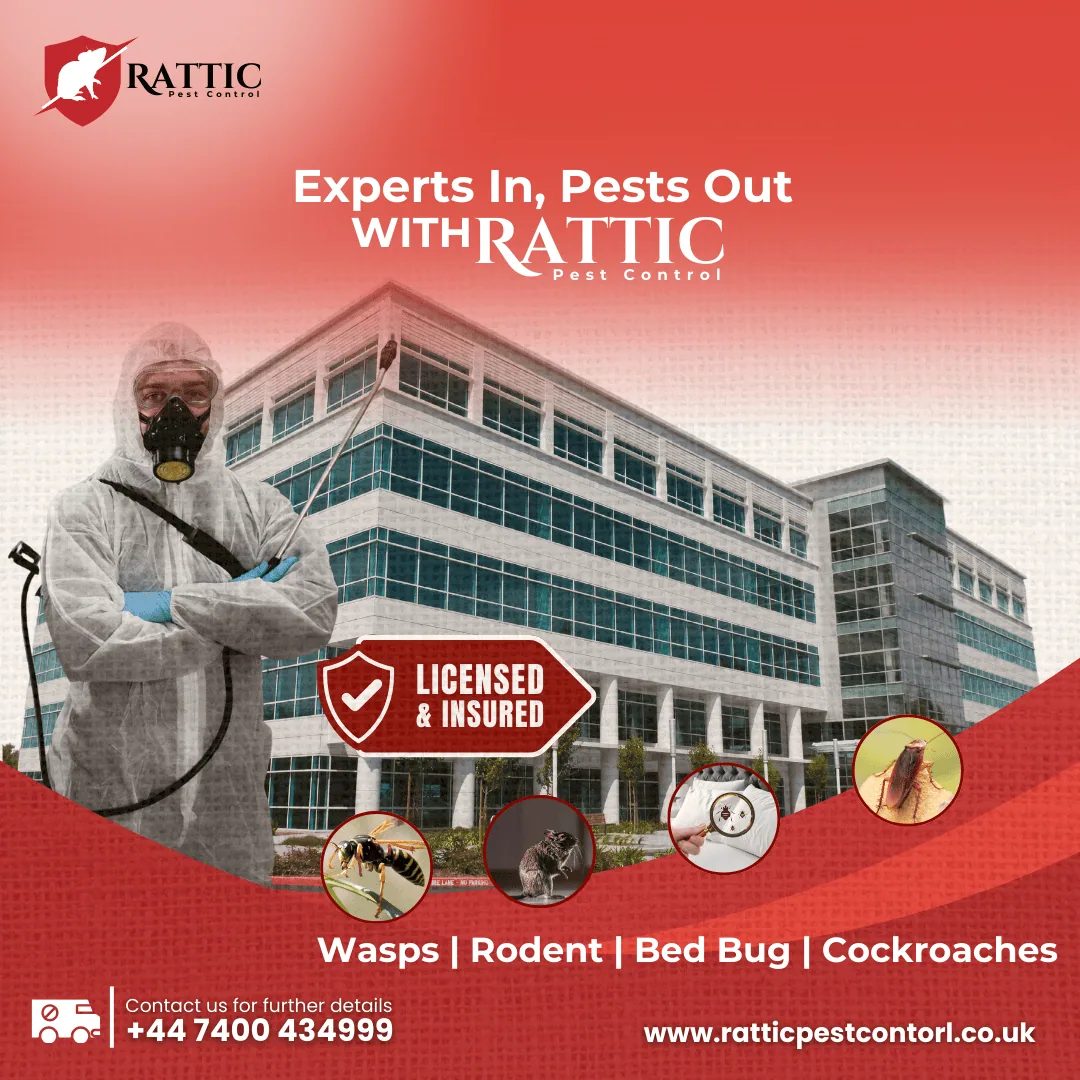 shape-with-nabeel-pest-control-graphic-images-portfolio-twelve