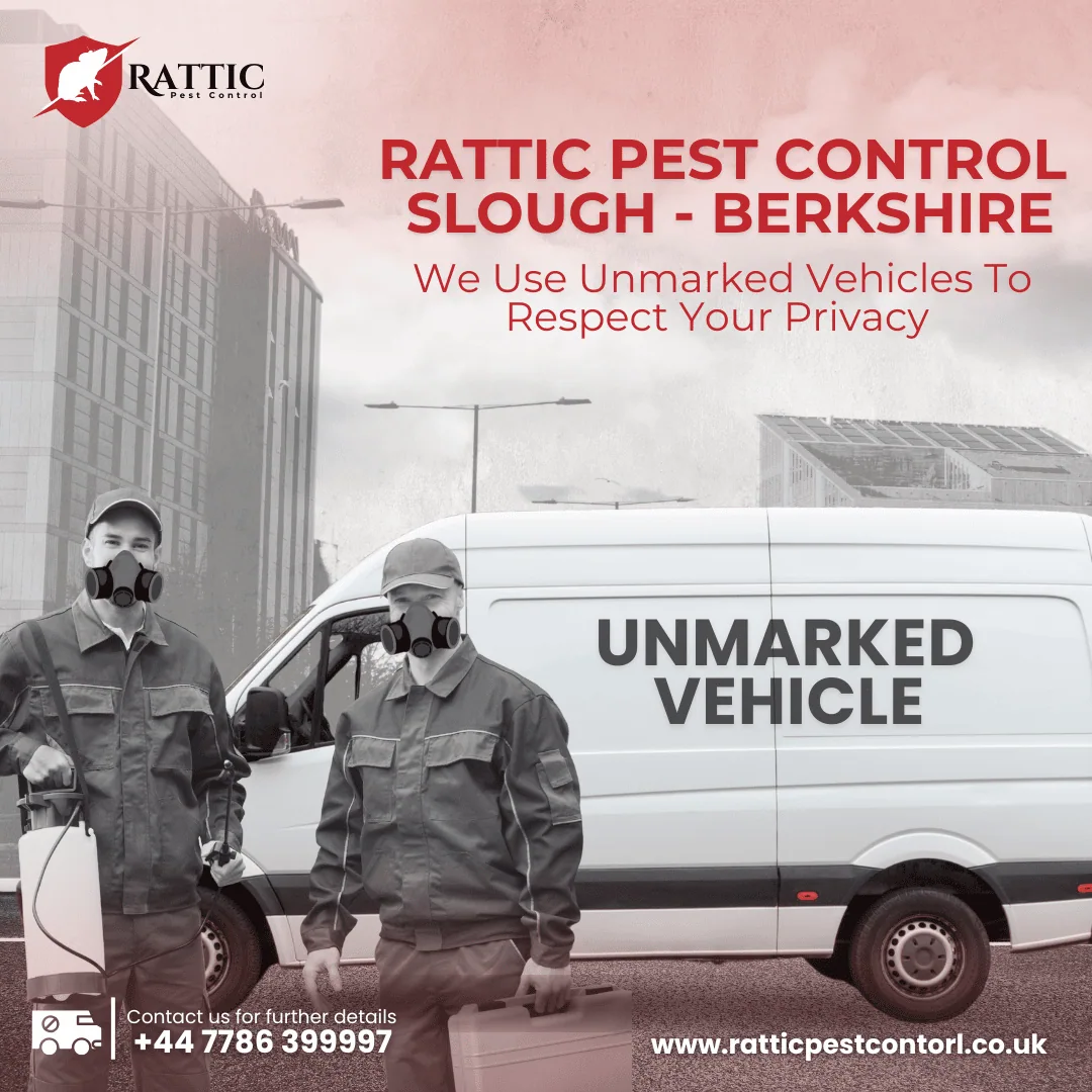 shape-with-nabeel-pest-control-graphic-images-portfolio-two